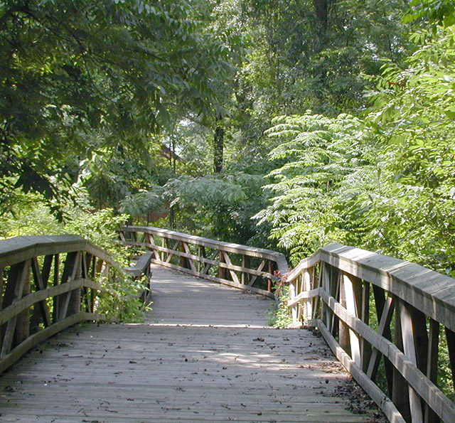 wooden footbridge through Moundville Archaeological Park