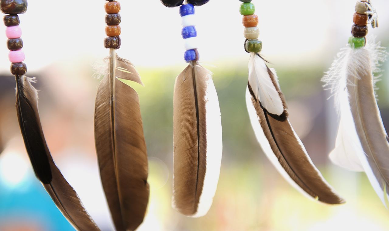 decorative feathers hanging in a row